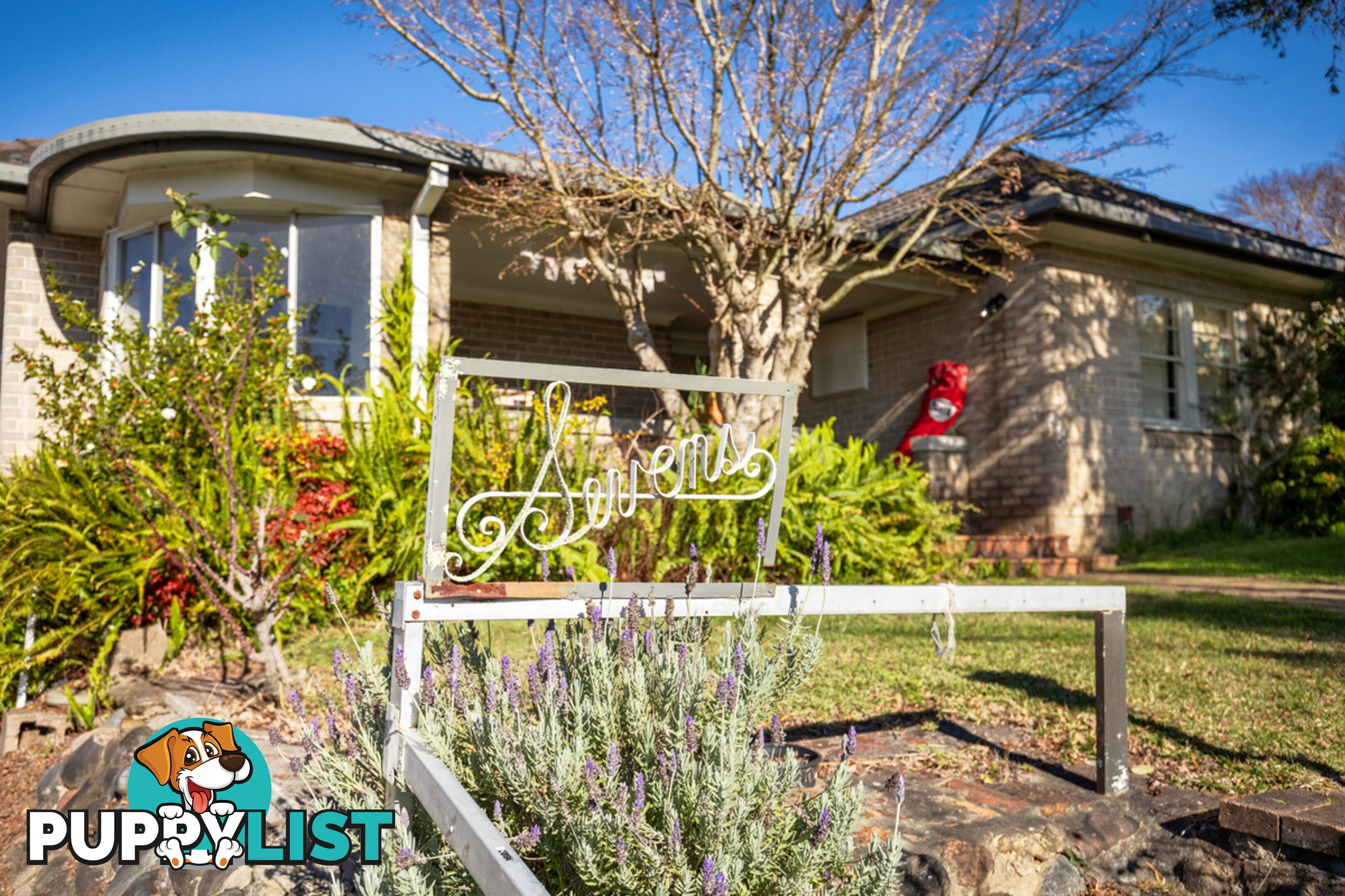 50 Carp Street Bega NSW 2550