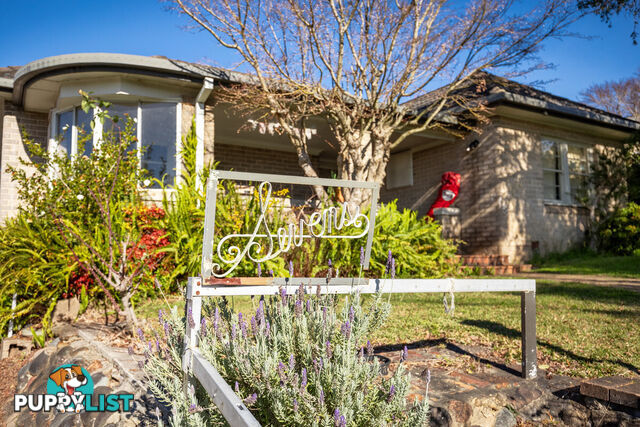 50 Carp Street Bega NSW 2550