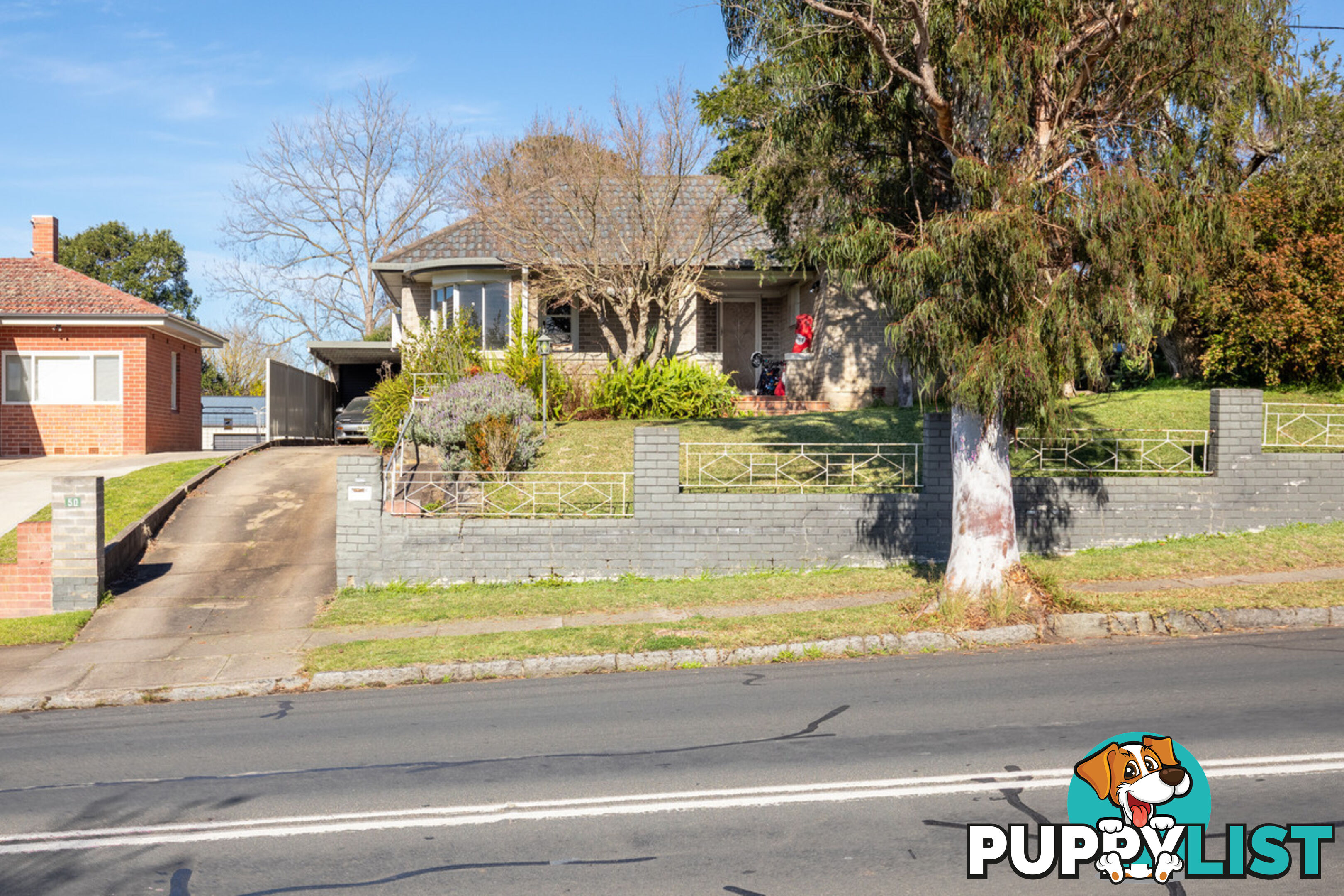 50 Carp Street Bega NSW 2550