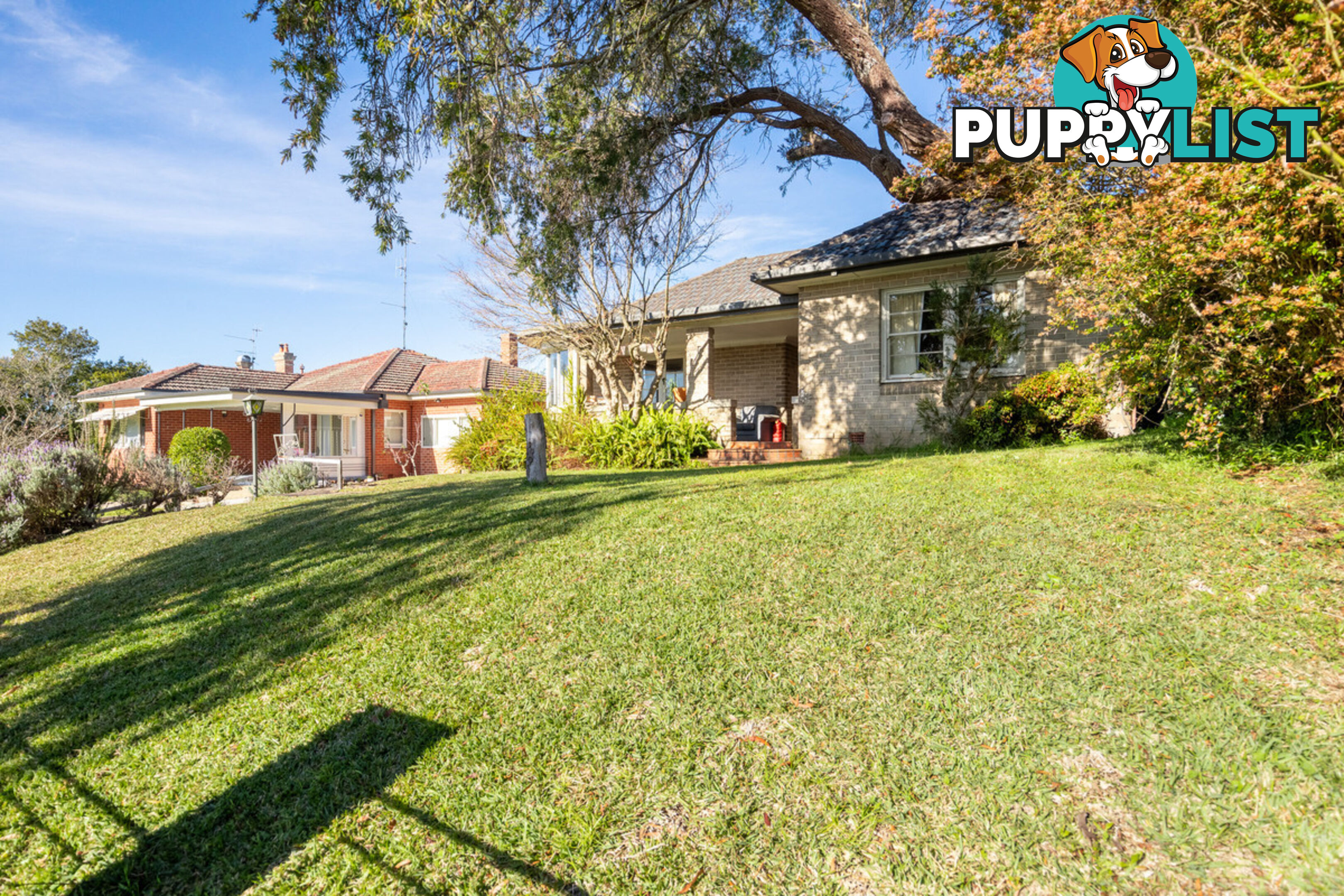 50 Carp Street Bega NSW 2550