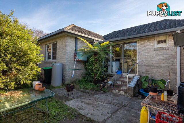 50 Carp Street Bega NSW 2550