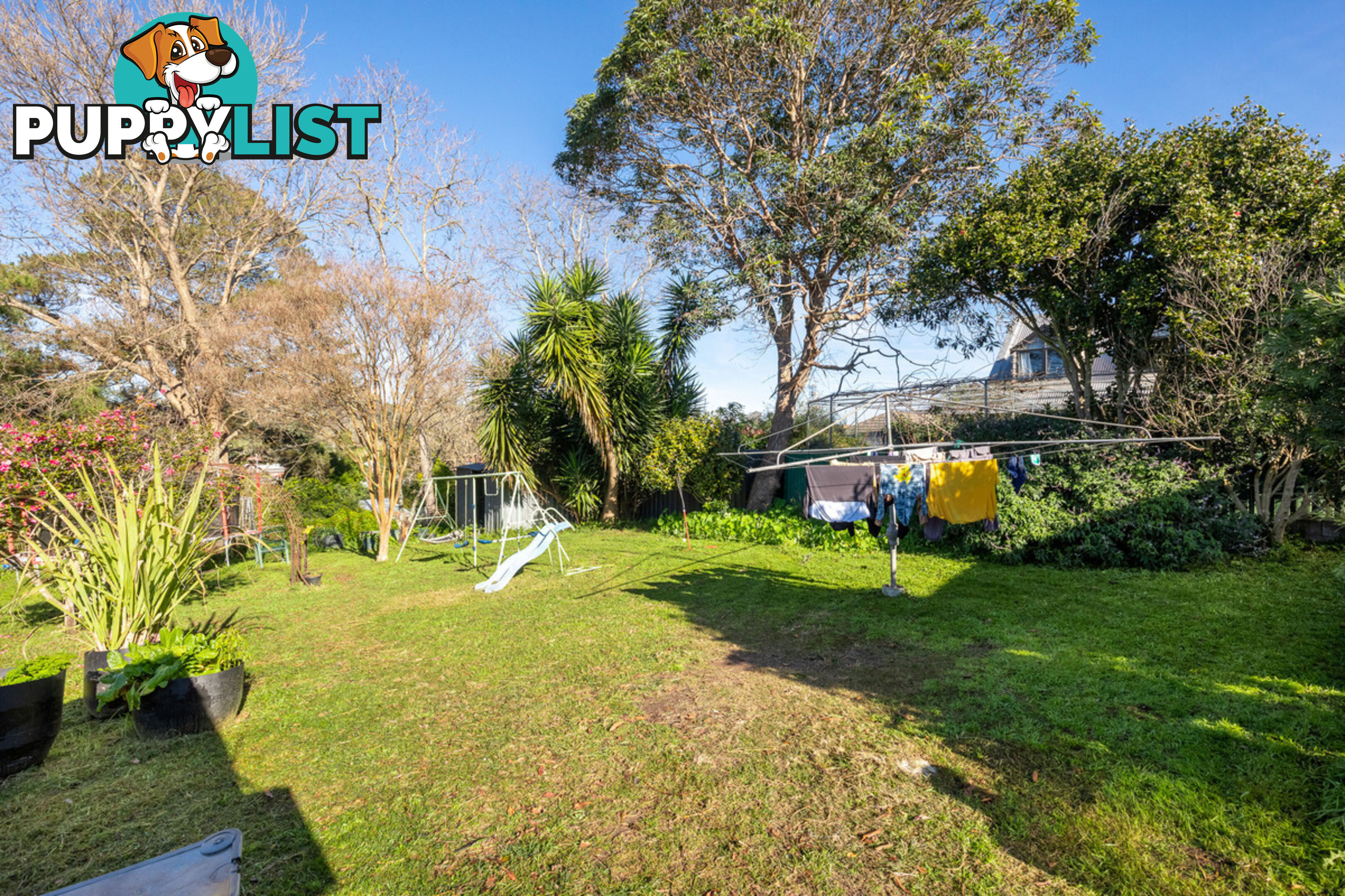 50 Carp Street Bega NSW 2550