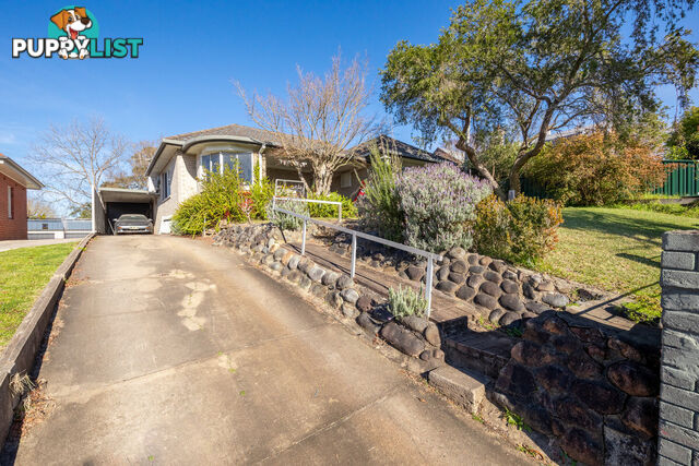 50 Carp Street Bega NSW 2550