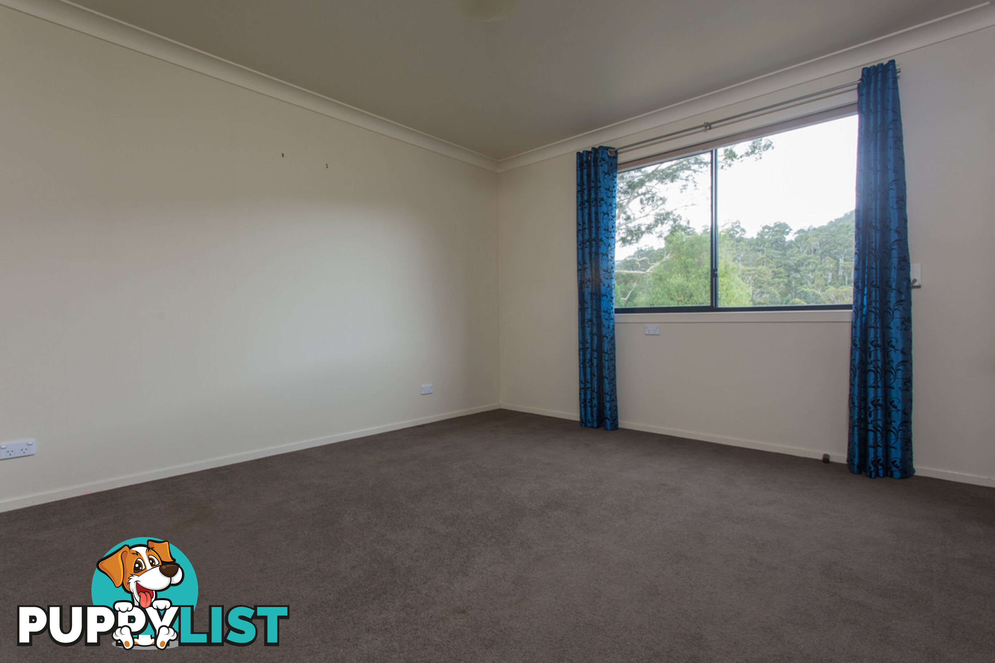 2903 Mount Darragh Road Wyndham NSW 2550