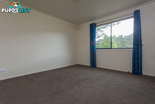 2903 Mount Darragh Road Wyndham NSW 2550