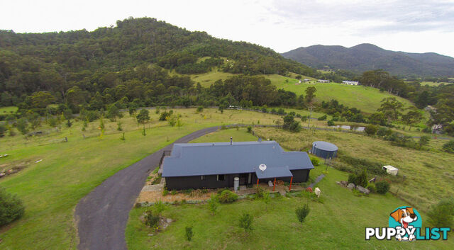 2903 Mount Darragh Road Wyndham NSW 2550