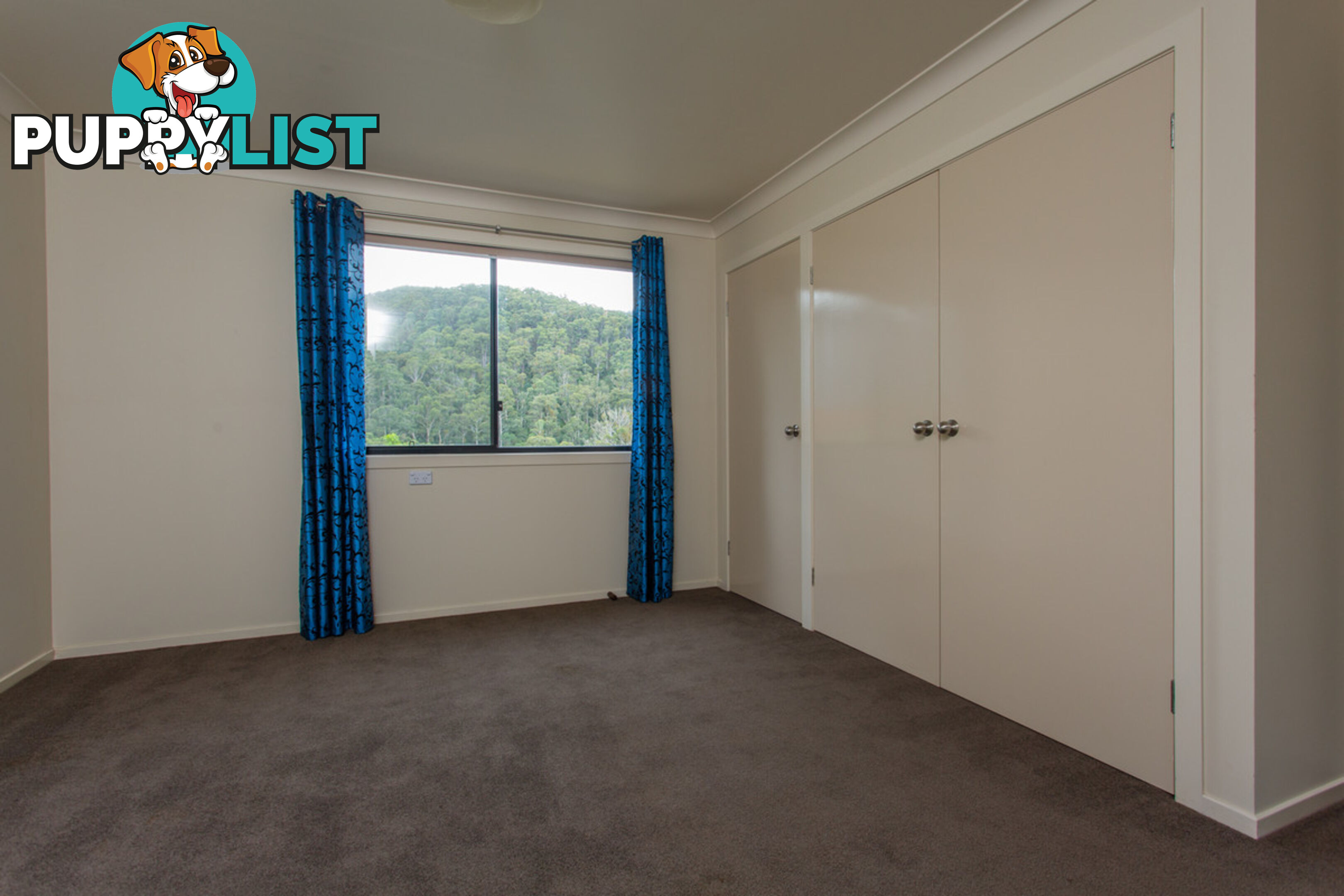 2903 Mount Darragh Road Wyndham NSW 2550