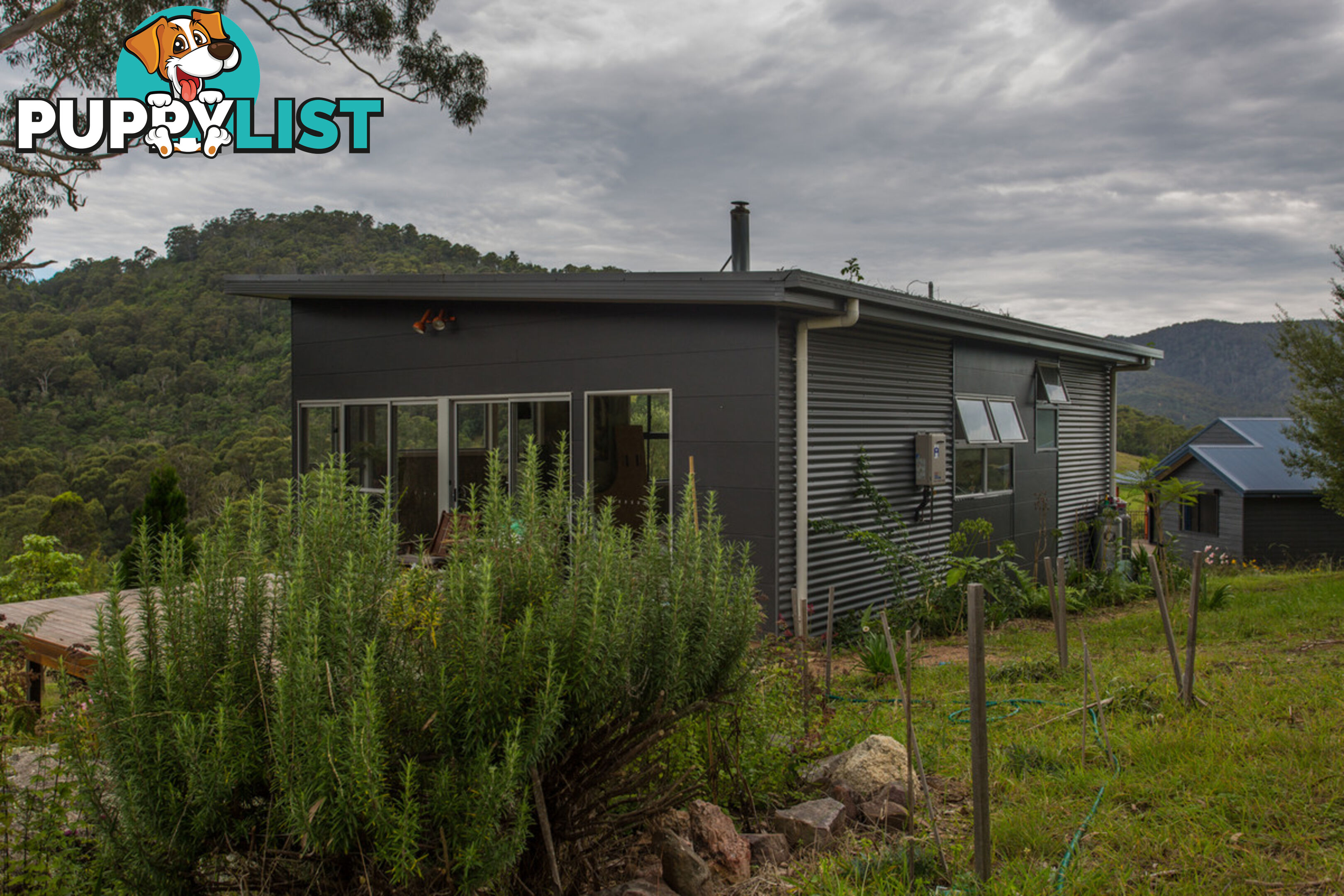 2903 Mount Darragh Road Wyndham NSW 2550