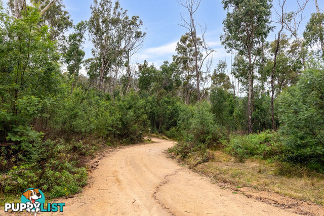 25 570 Fulligans Road Pericoe NSW 2550