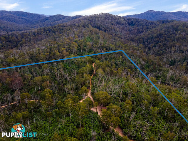 25 570 Fulligans Road Pericoe NSW 2550