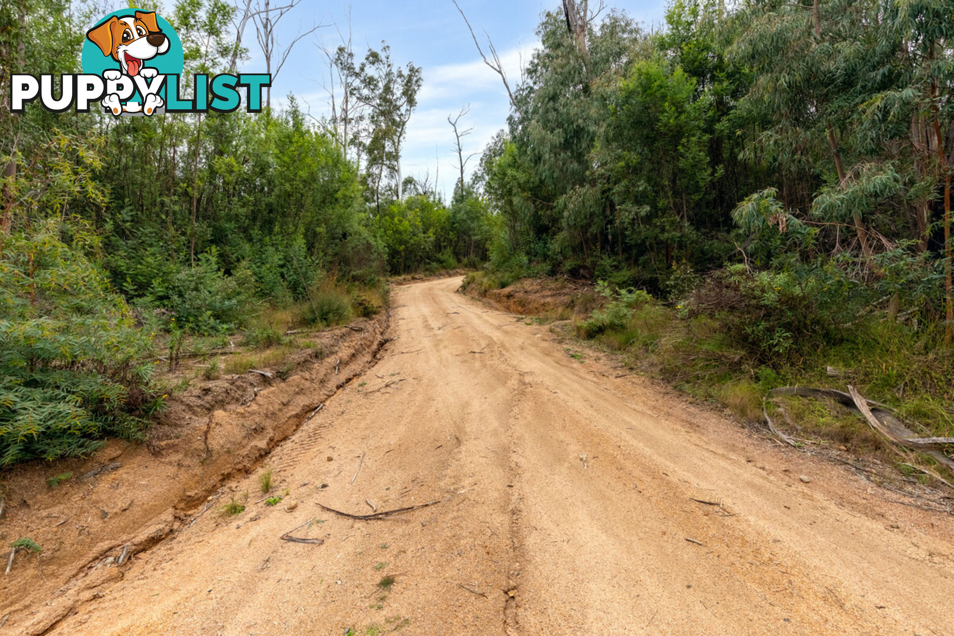 25 570 Fulligans Road Pericoe NSW 2550