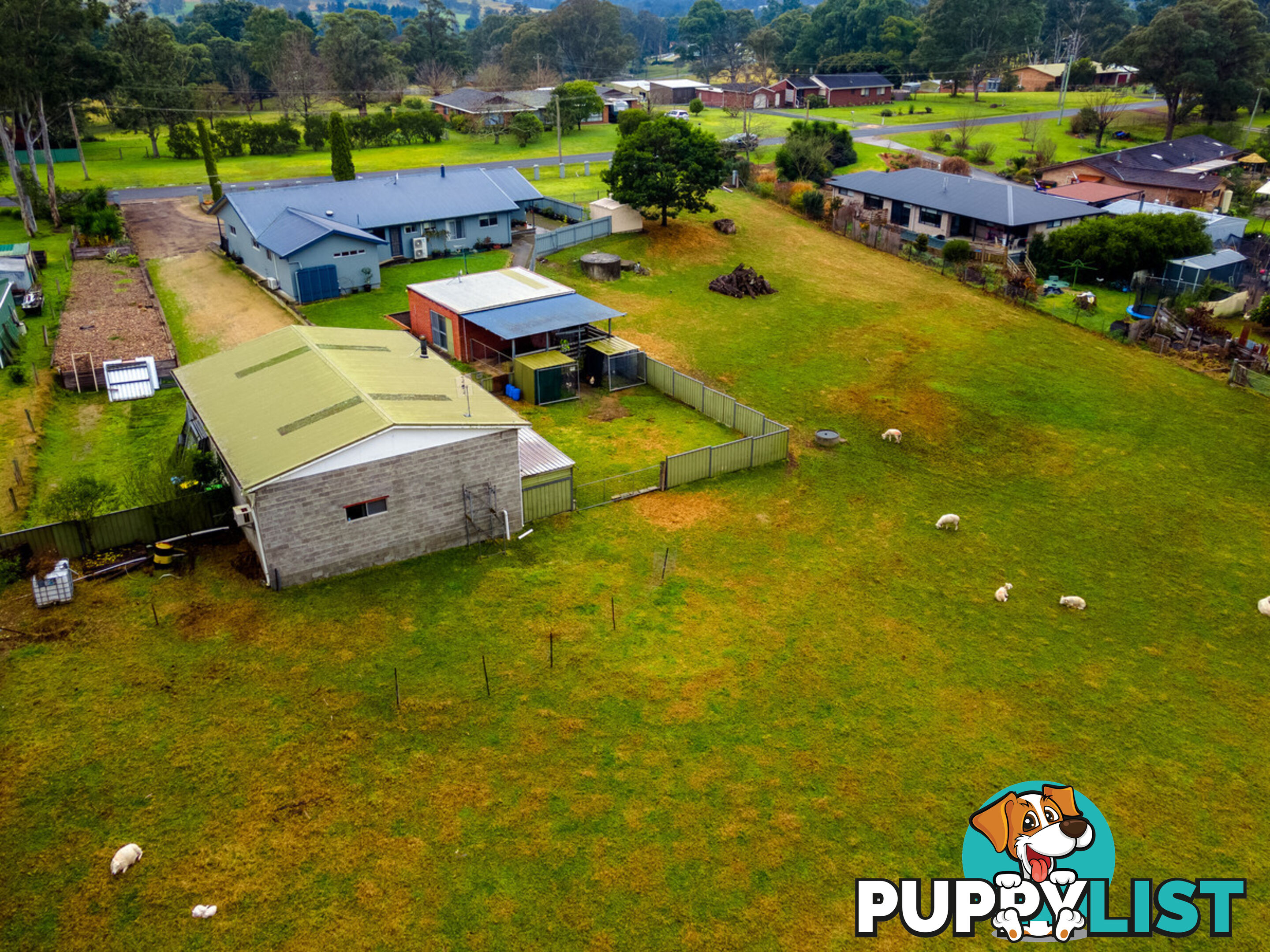 10 Nullica Road Tarraganda NSW 2550