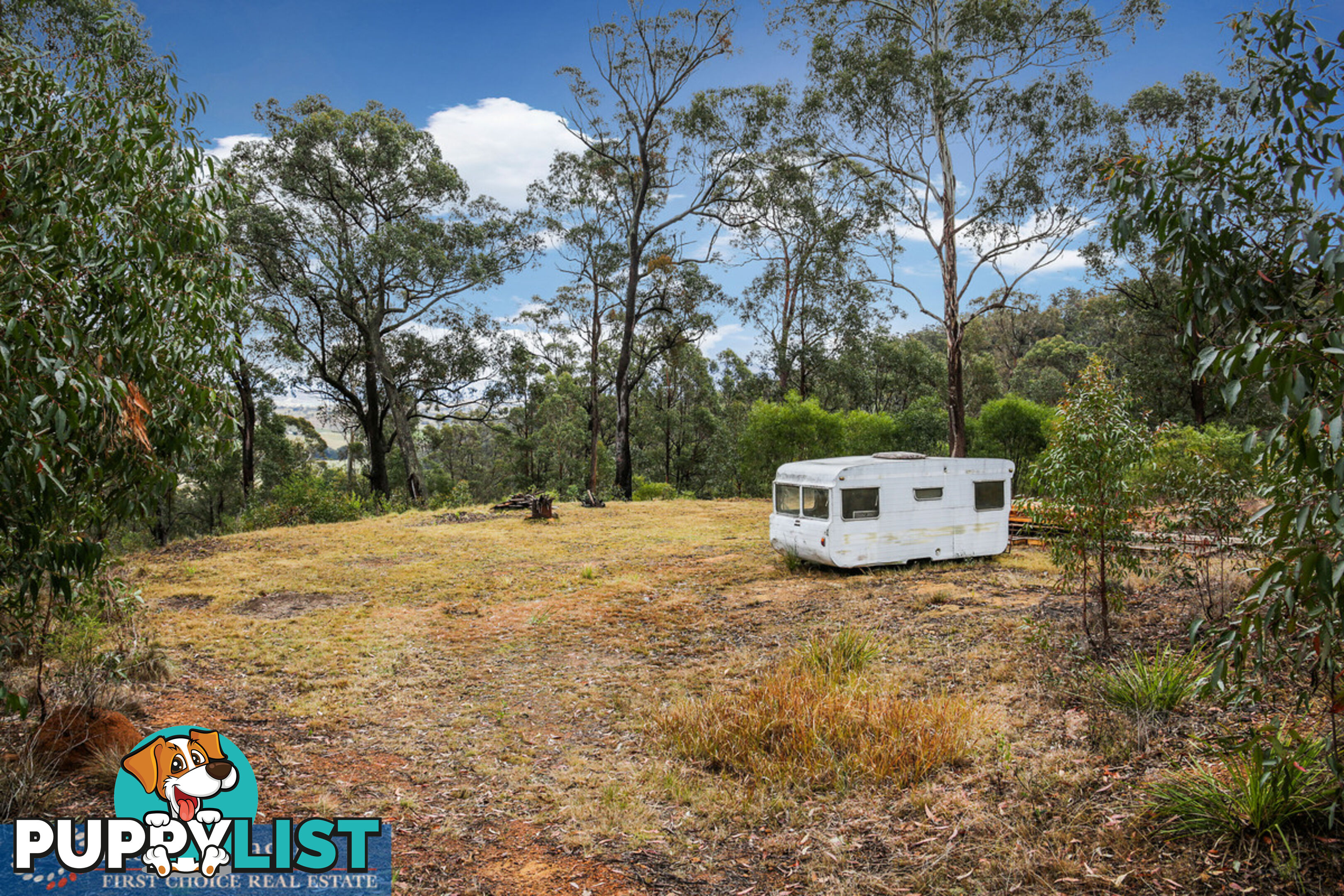 970 Doctor George Mountain Road Tarraganda NSW 2550