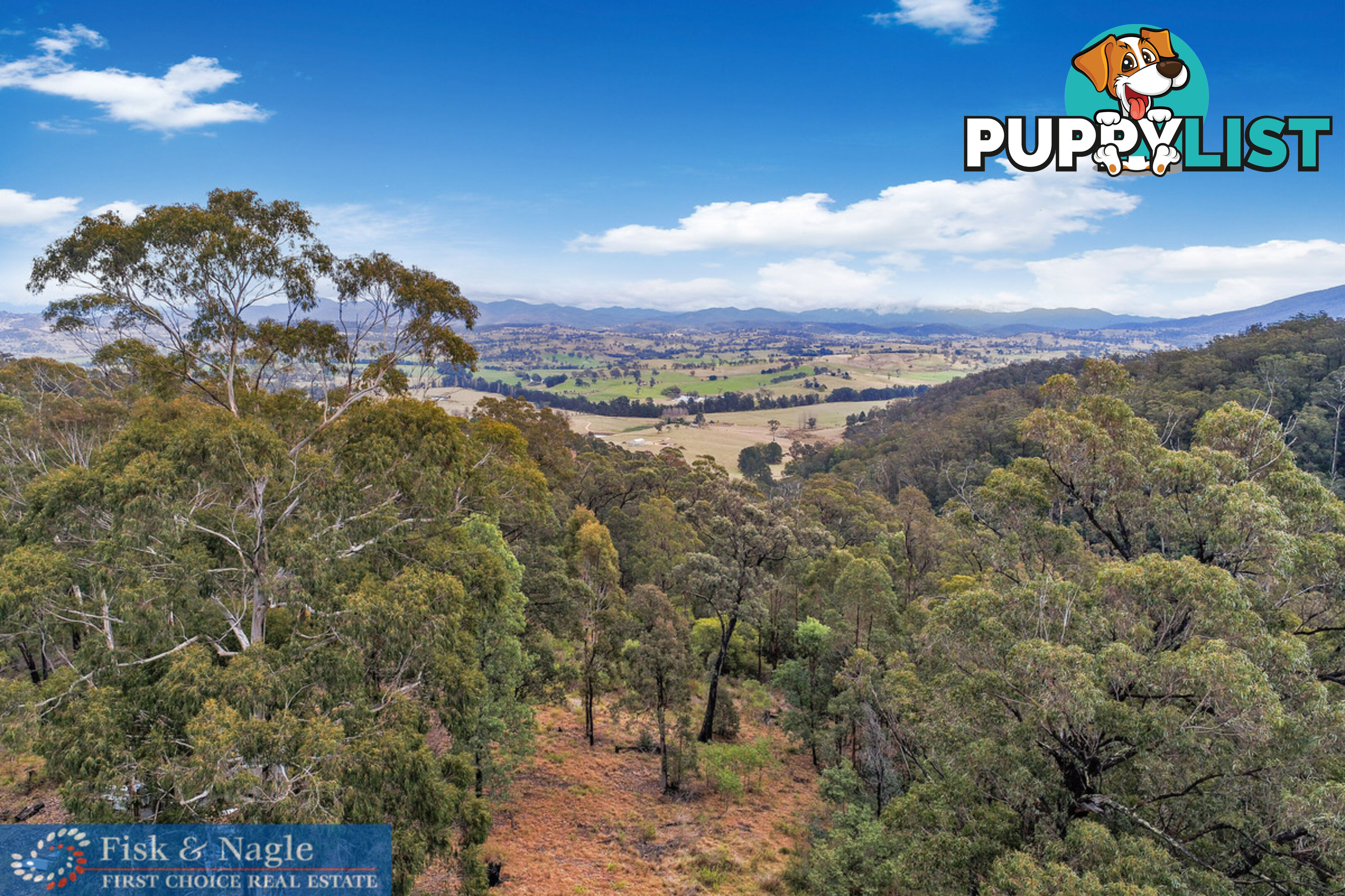 970 Doctor George Mountain Road Tarraganda NSW 2550