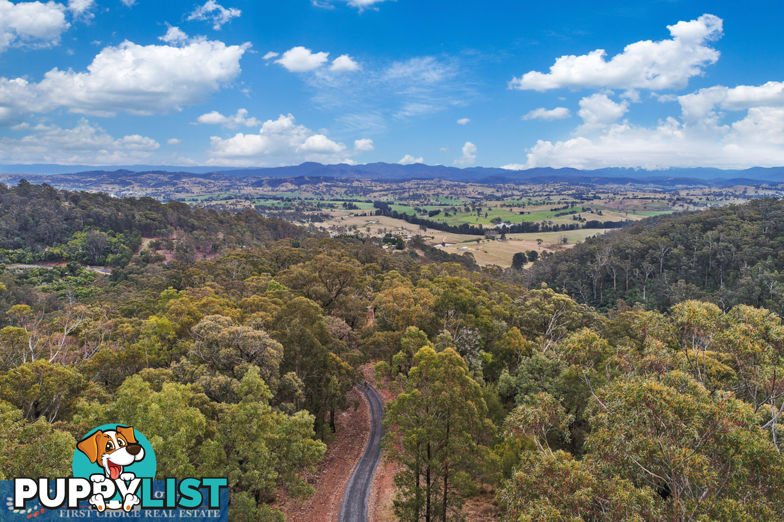 970 Doctor George Mountain Road Tarraganda NSW 2550