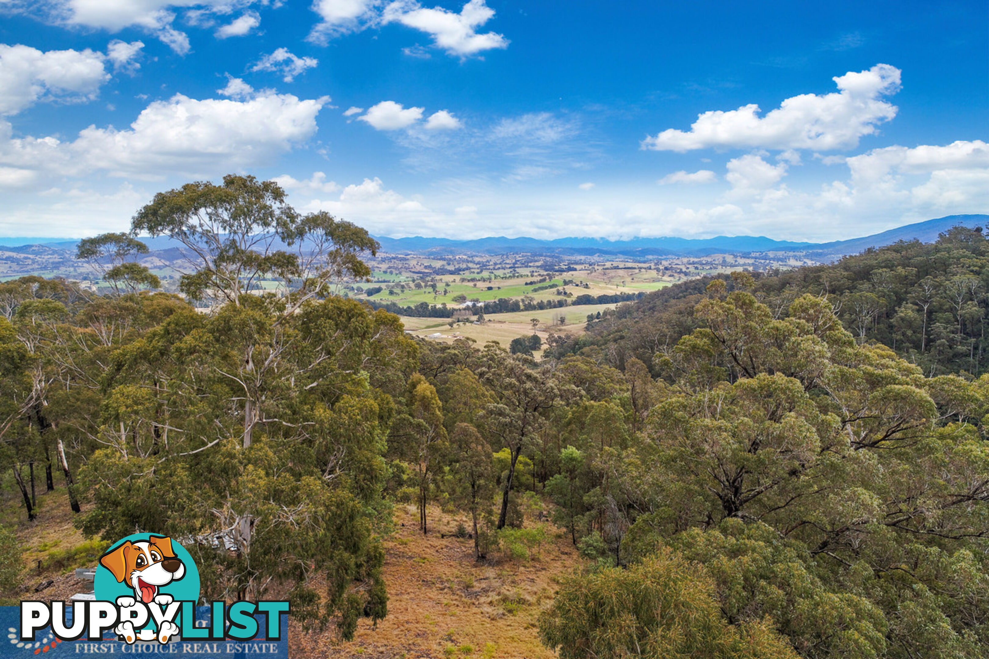 970 Doctor George Mountain Road Tarraganda NSW 2550