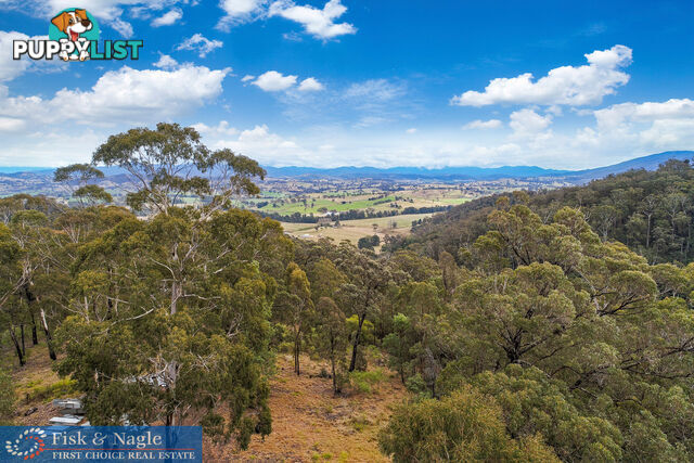 970 Doctor George Mountain Road Tarraganda NSW 2550