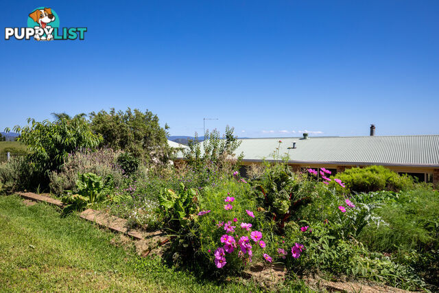 385 Towridgee Lane Candelo NSW 2550