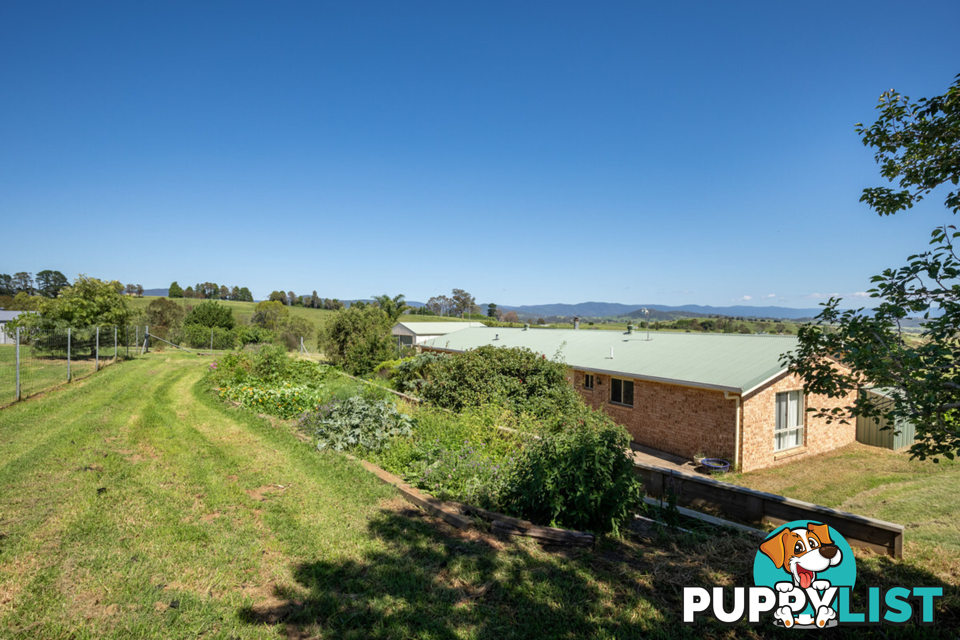 385 Towridgee Lane Candelo NSW 2550