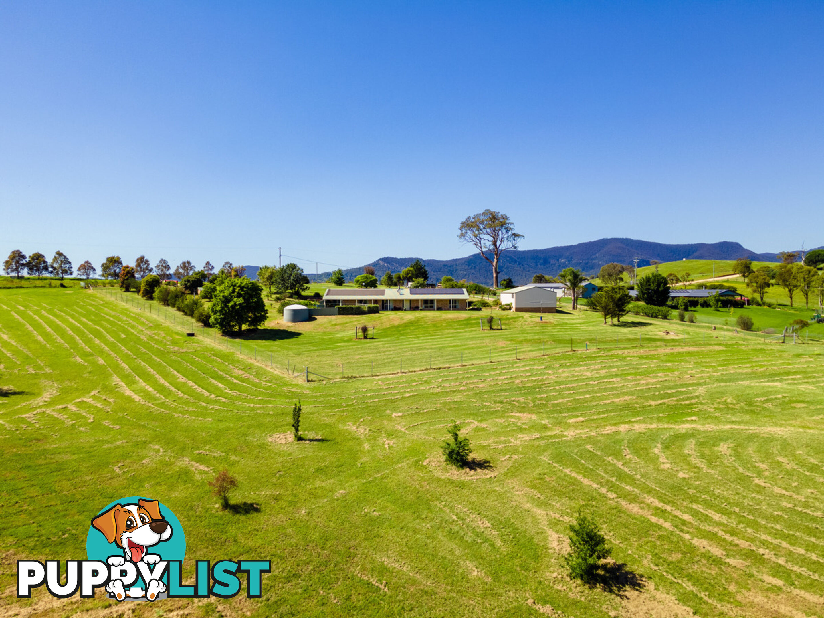 385 Towridgee Lane Candelo NSW 2550