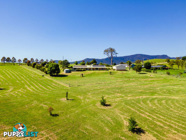 385 Towridgee Lane Candelo NSW 2550