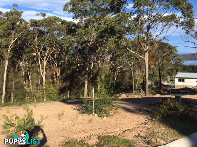 205 Mulloway Circuit Merimbula NSW 2548