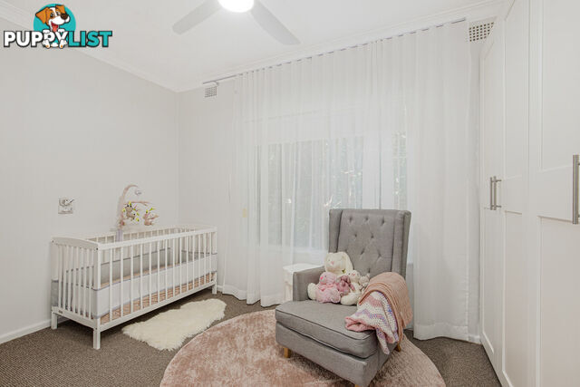 14 Park Lane Bega NSW 2550