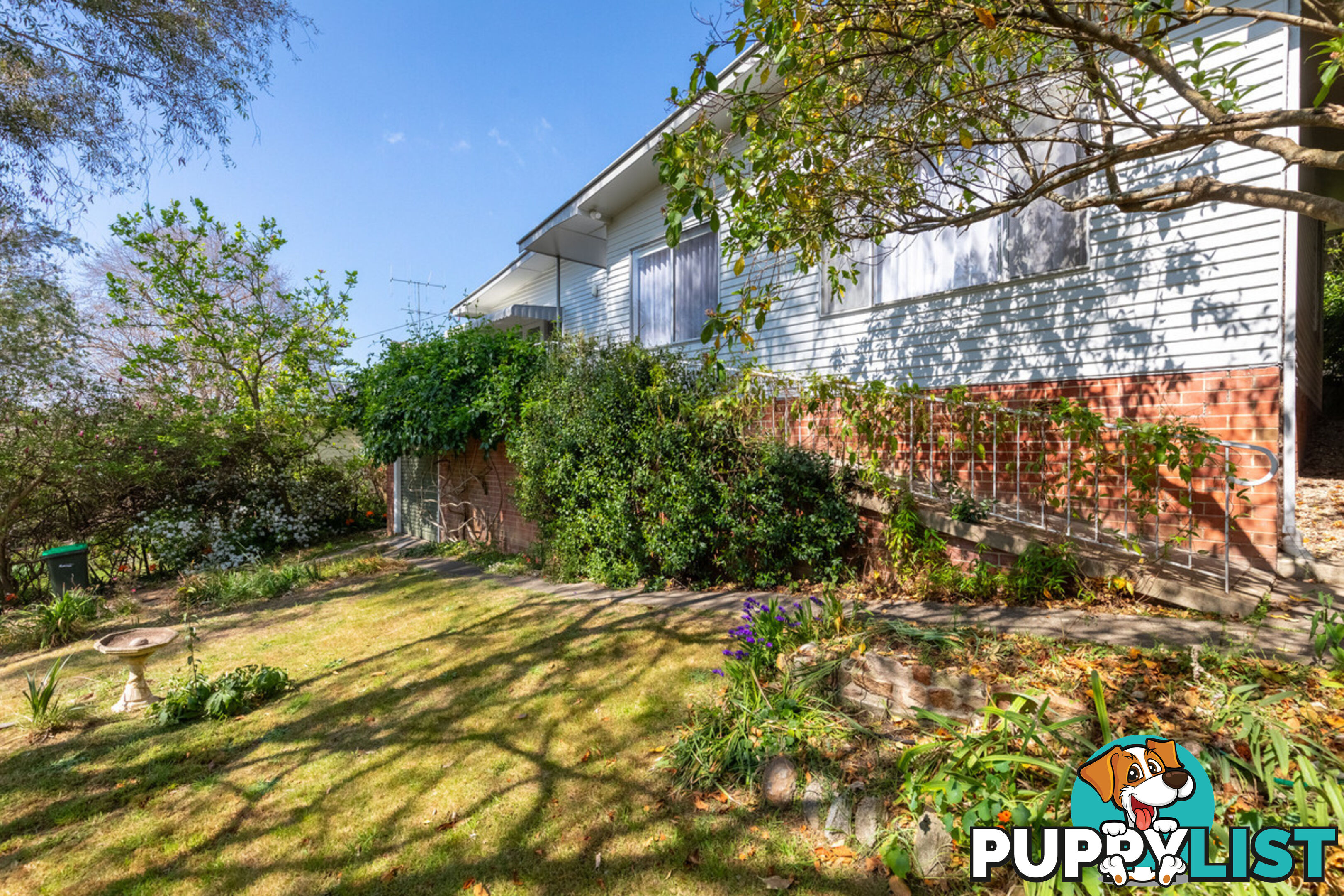 14 Park Lane Bega NSW 2550