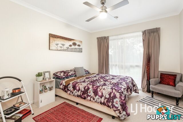 49A Alexander Avenue DANDENONG VIC 3175