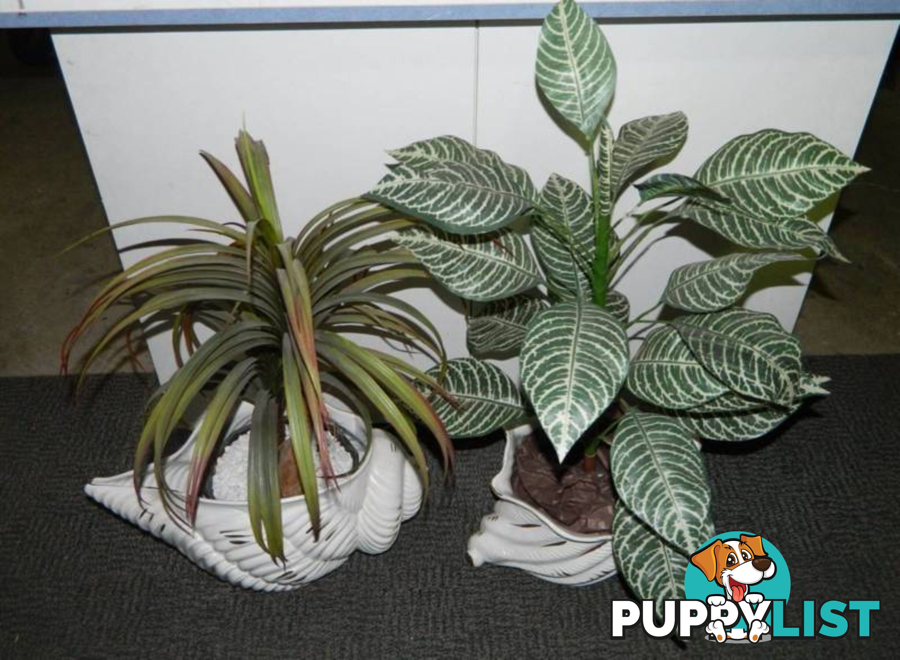 Fake Plants in lovely ceramic sea shell vases !!!