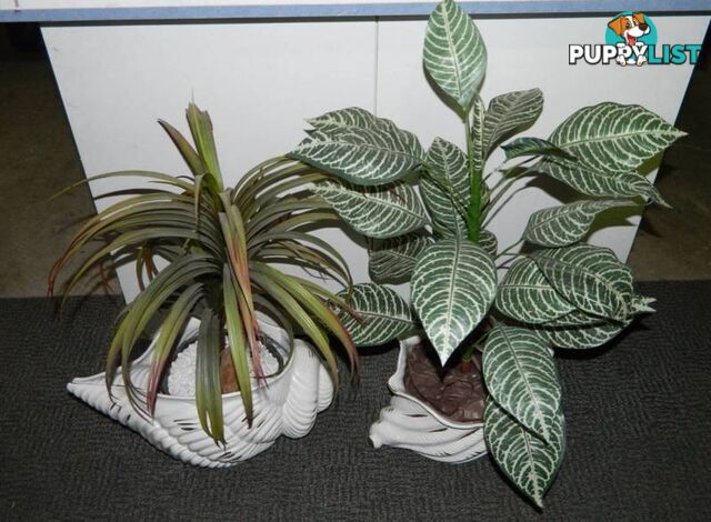 Fake Plants in lovely ceramic sea shell vases !!!