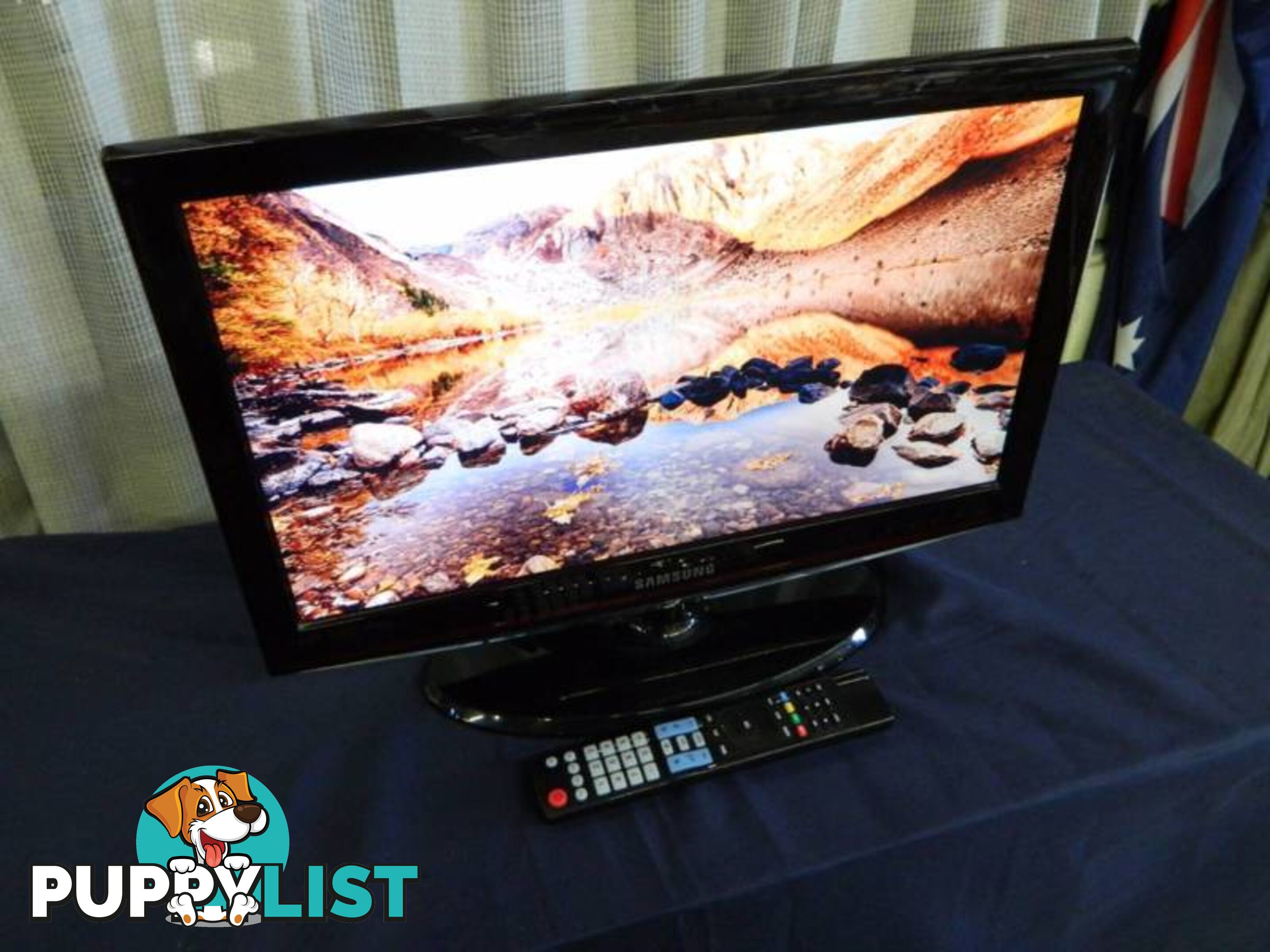 Samsung la22c450e1d 22" LCD TV with remote