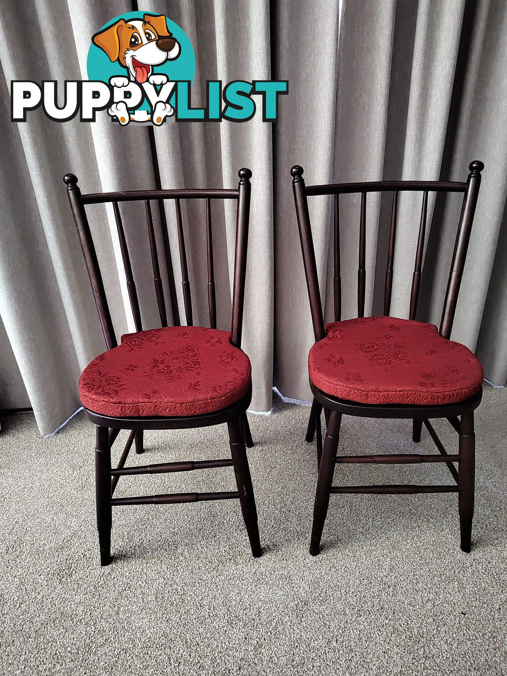 2 SOLID TIMBER DINING CHAIRS WITH CUSHION EXCELLENT VALUE