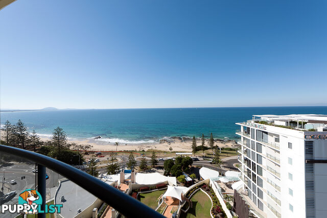 1307/7 Venning Street MOOLOOLABA QLD 4557