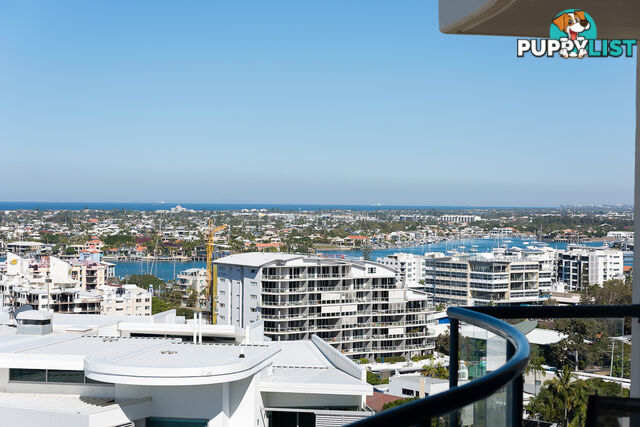 1307/7 Venning Street MOOLOOLABA QLD 4557