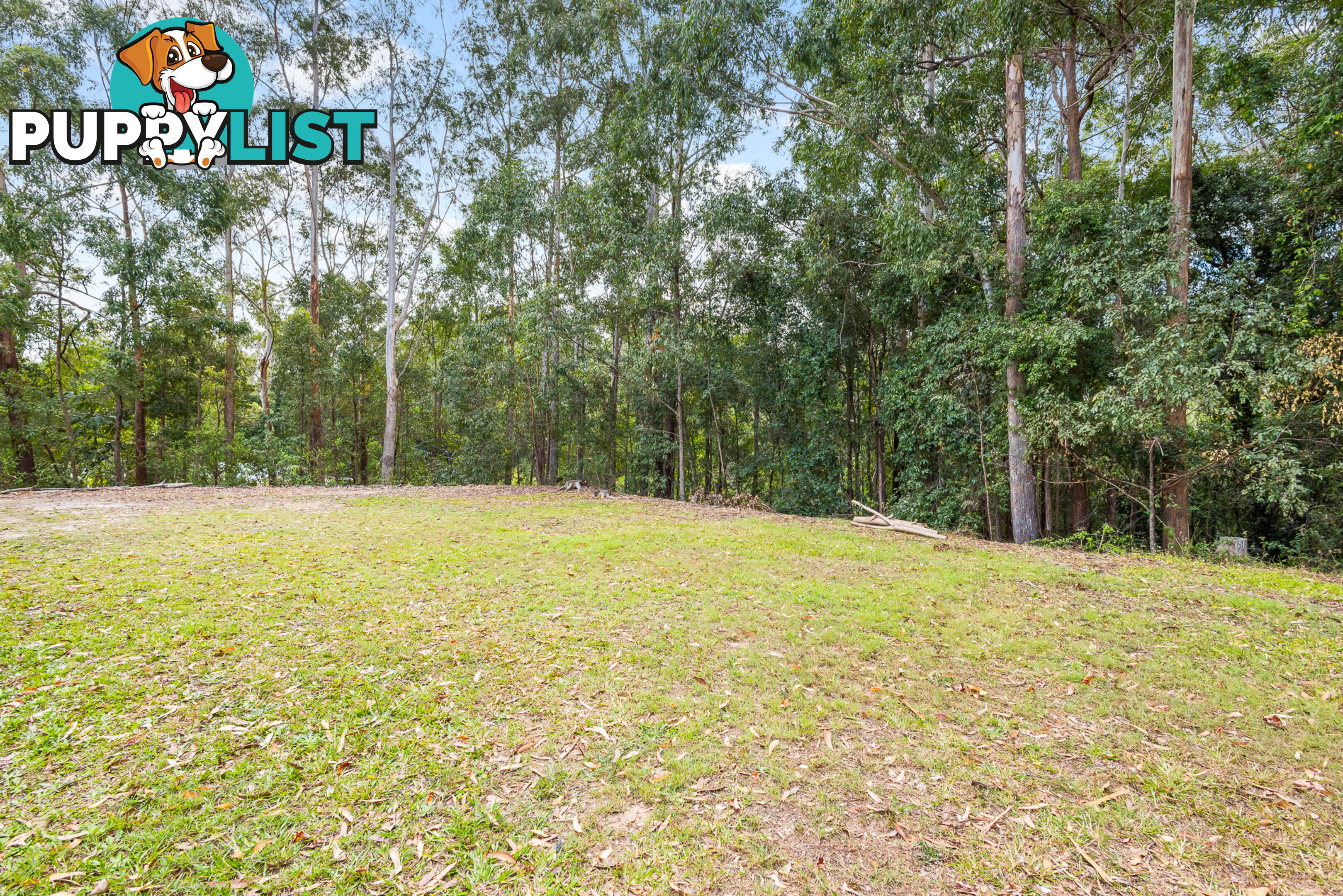 2 To 6 Park Cl BUDERIM QLD 4556