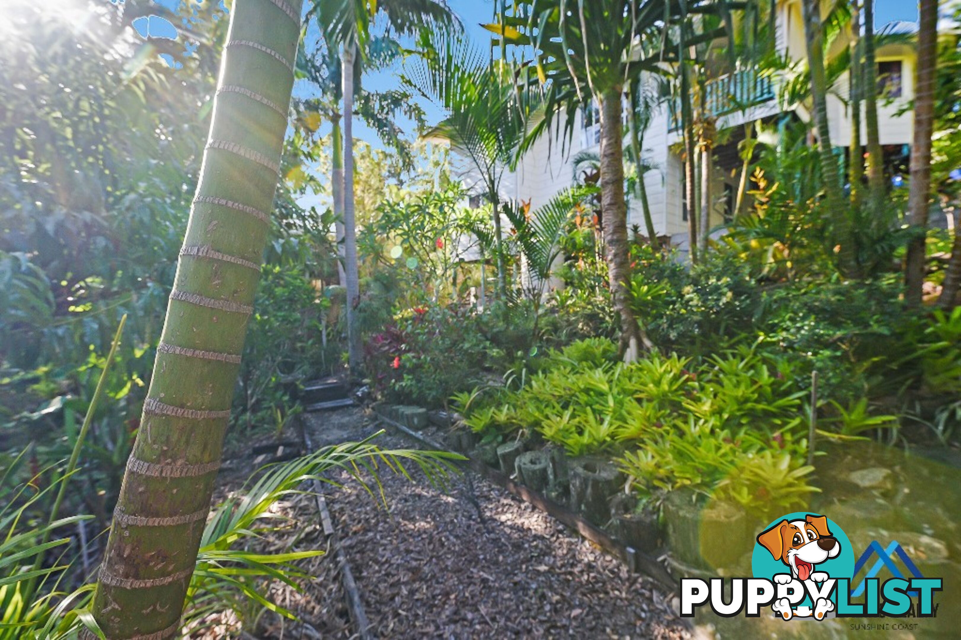 32b Illuka St BUDERIM QLD 4556