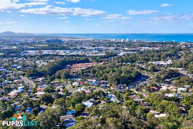 15 Pheasant St BUDERIM QLD 4556