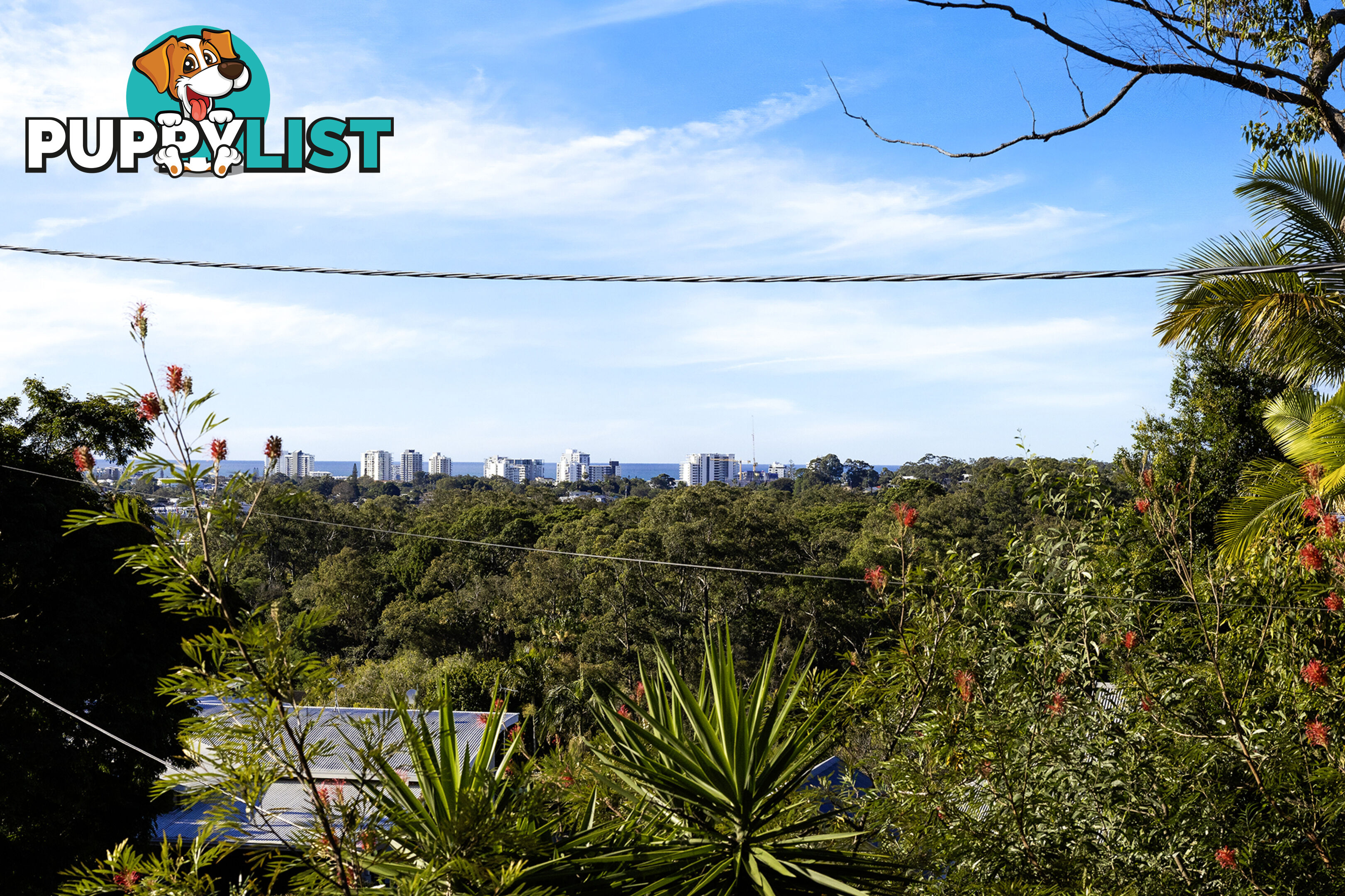 15 Pheasant St BUDERIM QLD 4556