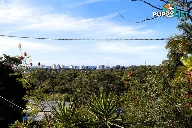 15 Pheasant St BUDERIM QLD 4556