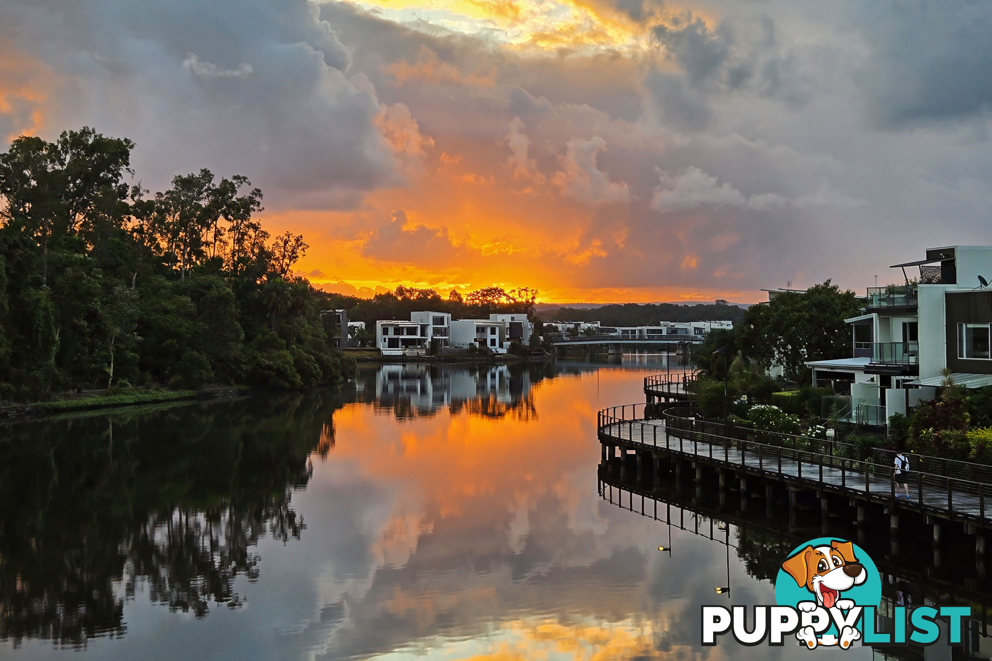16 Sarina Pl MAROOCHYDORE QLD 4558