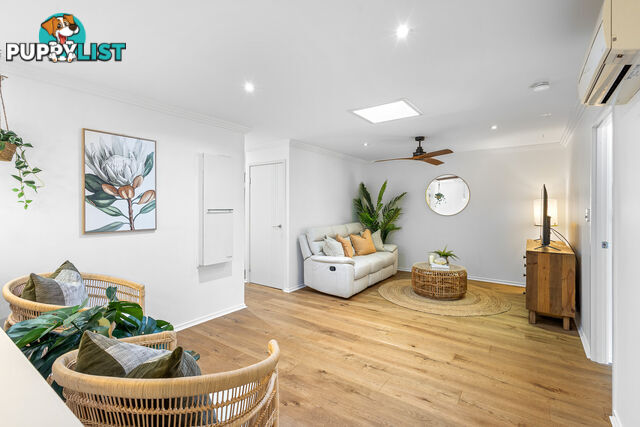 16 Sarina Pl MAROOCHYDORE QLD 4558