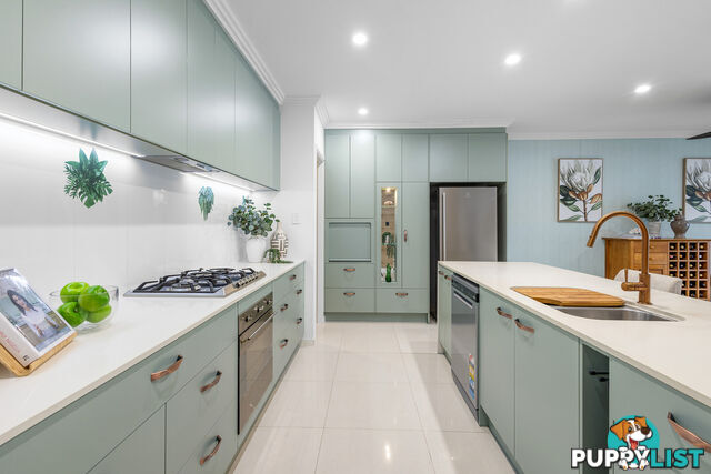 16 Sarina Pl MAROOCHYDORE QLD 4558