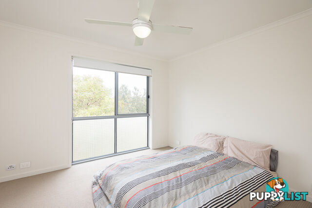 25 Hayman La MERIDAN PLAINS QLD 4551