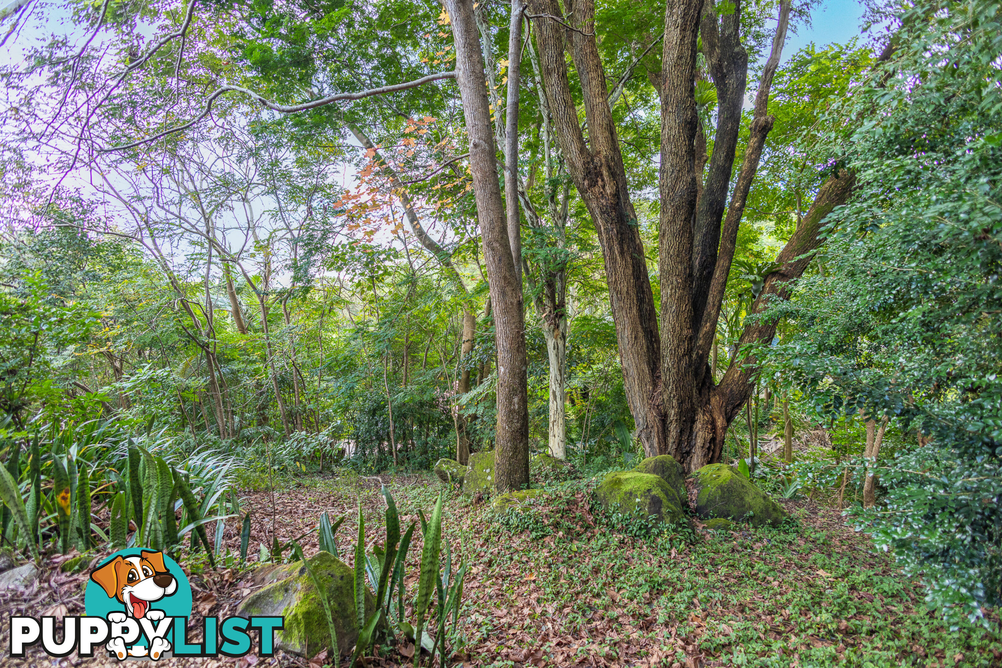 22 Crosby Hill Rd BUDERIM QLD 4556