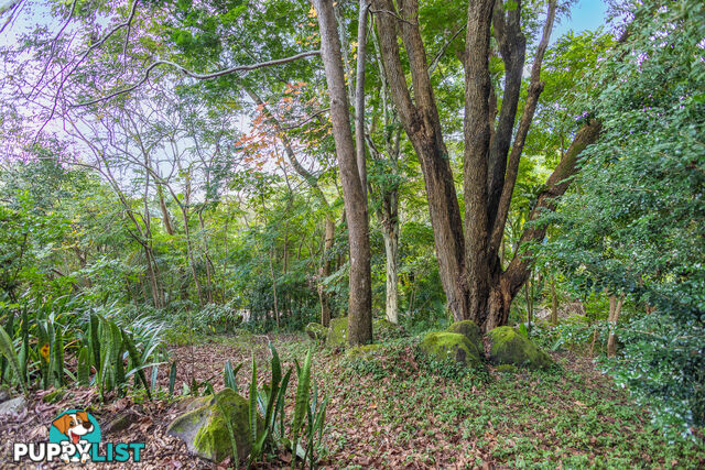 22 Crosby Hill Rd BUDERIM QLD 4556