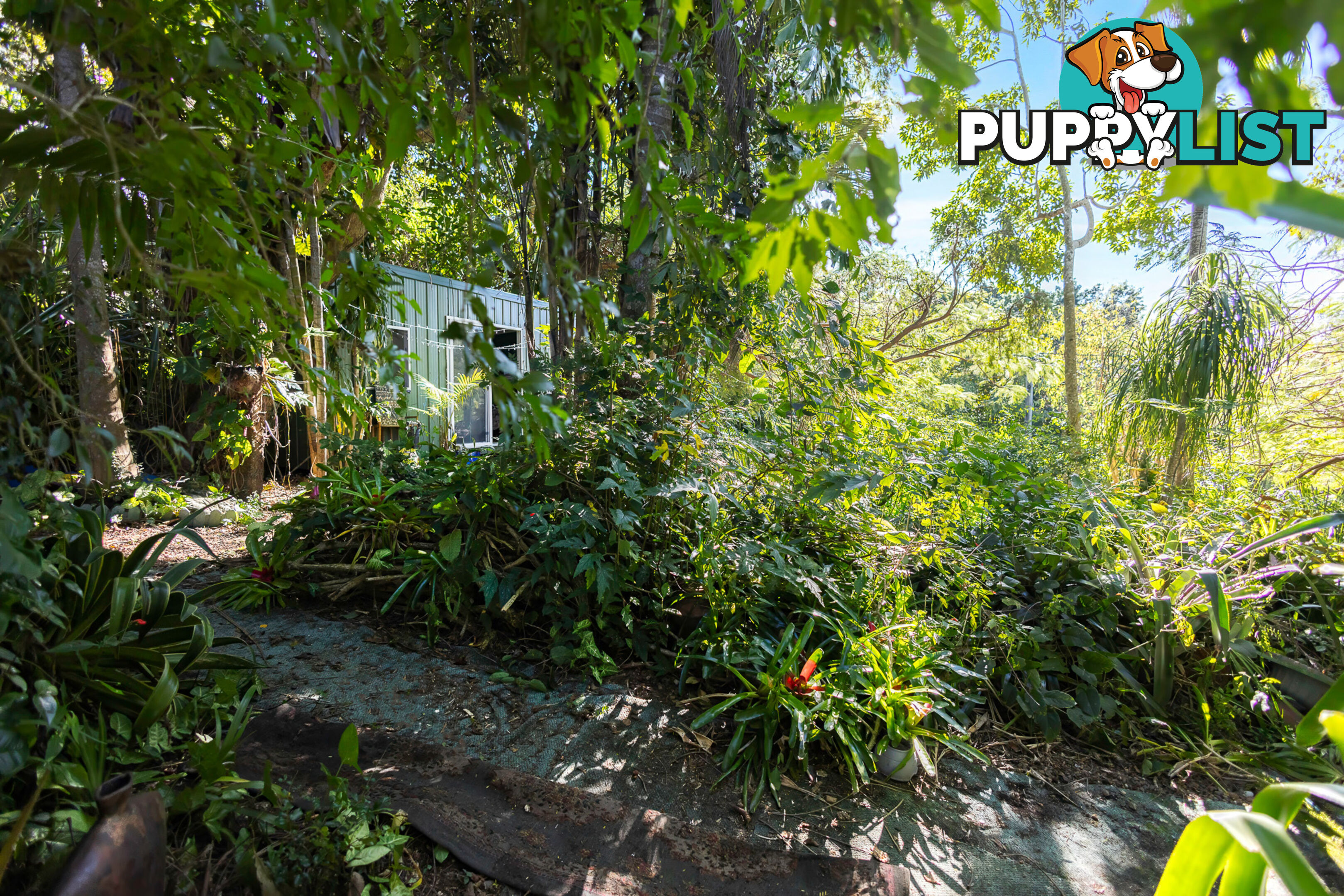 182 Panorama Dr ROSEMOUNT QLD 4560