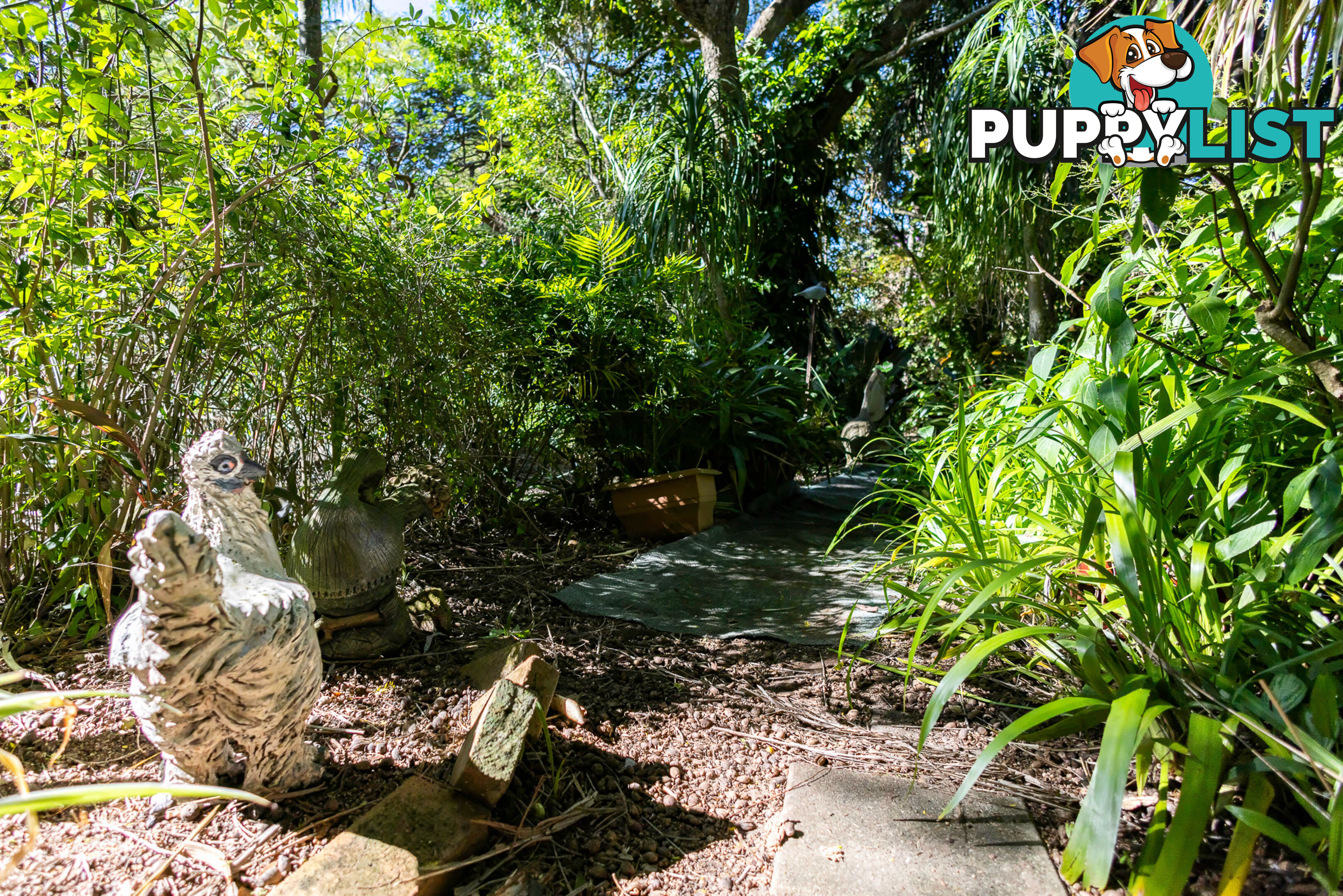 182 Panorama Dr ROSEMOUNT QLD 4560