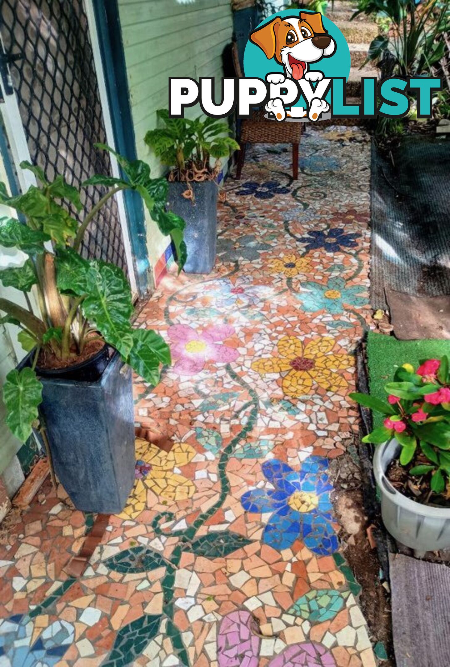 182 Panorama Dr ROSEMOUNT QLD 4560