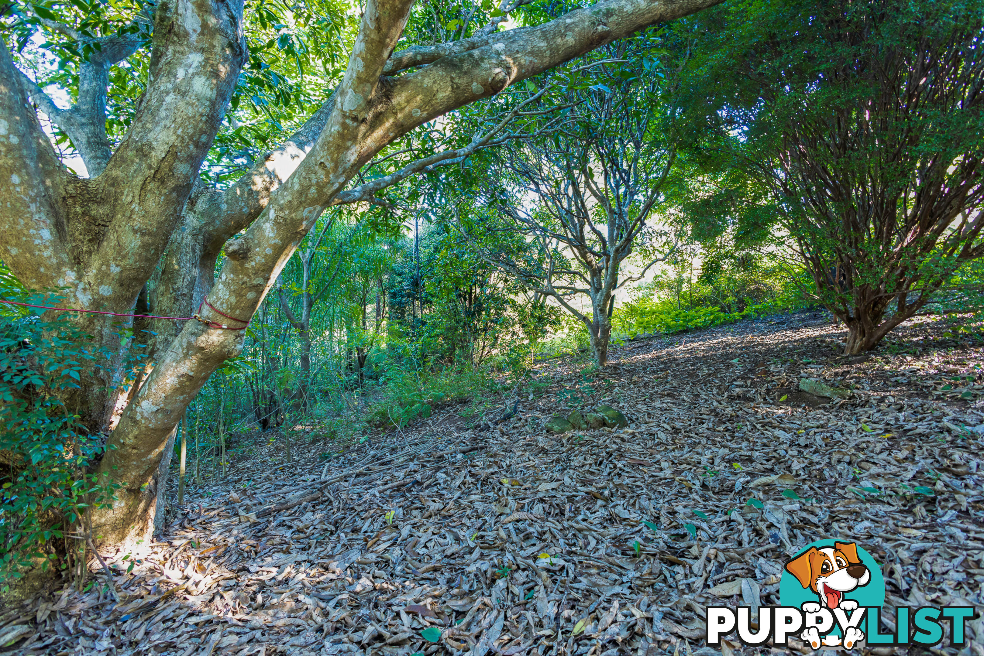182 Panorama Dr ROSEMOUNT QLD 4560